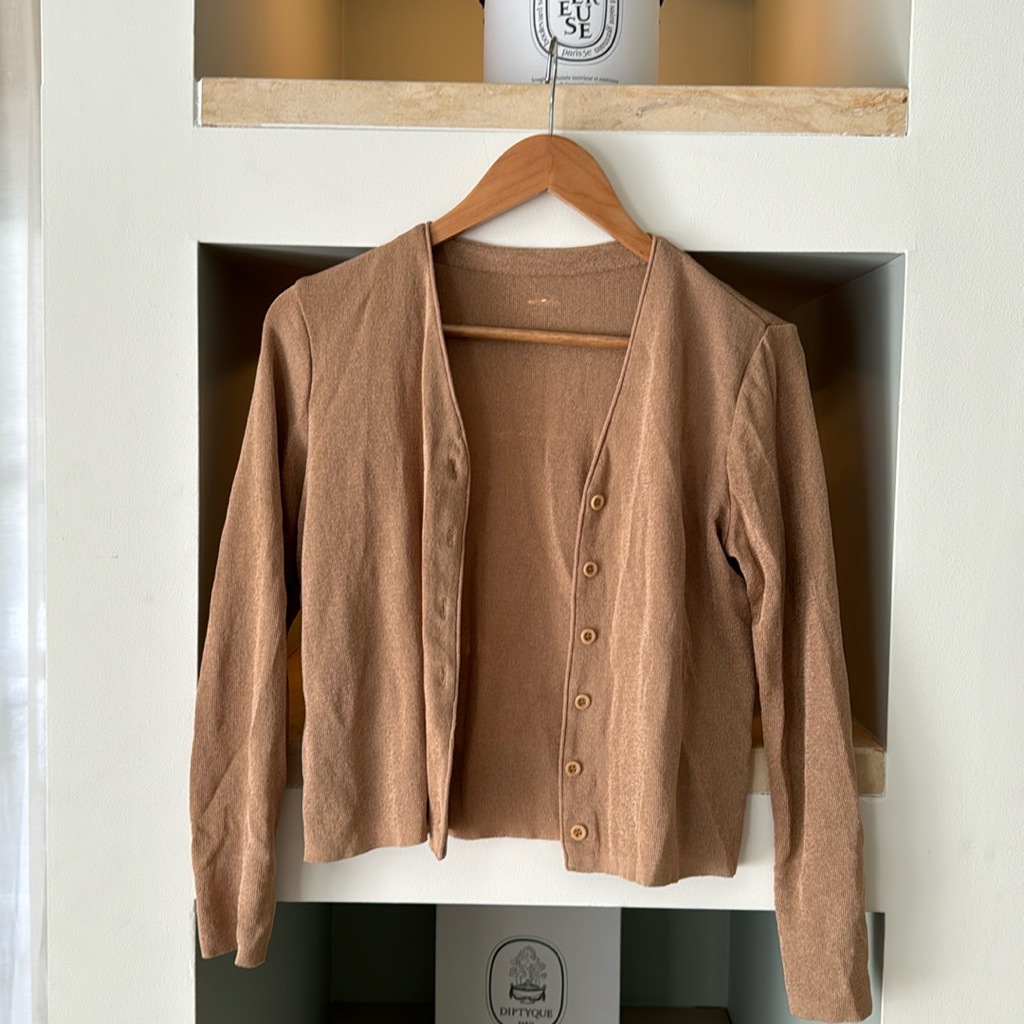 Brown/Beige Button Down